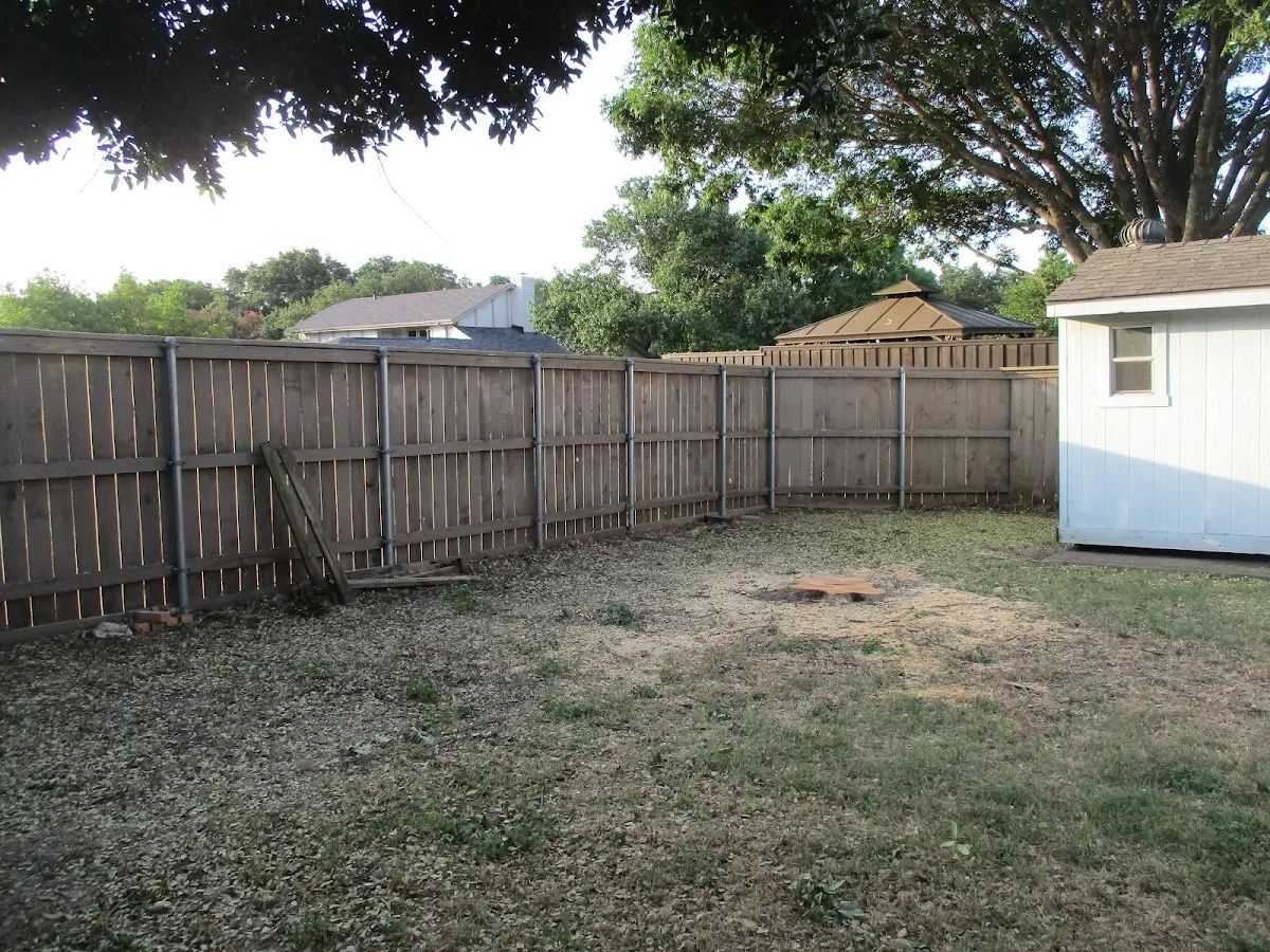 Cleared yard after professional tree removal in National City